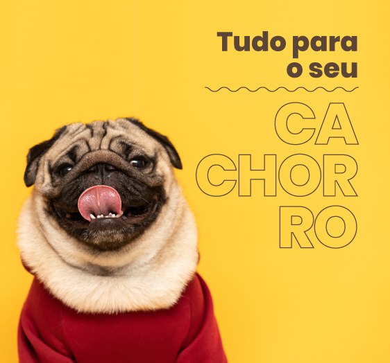 Produtos para Cachorros