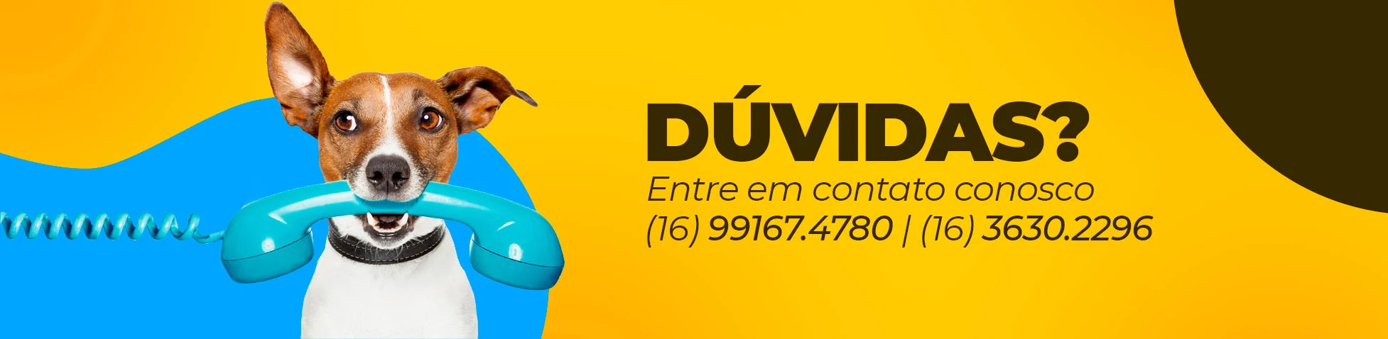 Entre em contato