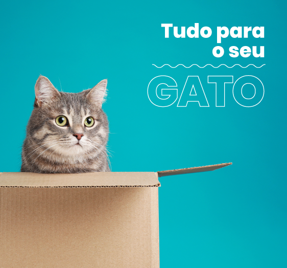 Produtos para Gatos